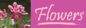 Flowers Outdoor Vinyl Banner Sign